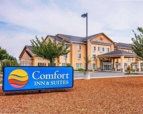 Гостиница Comfort Inn & Suites Creswell  Кресуэлл
